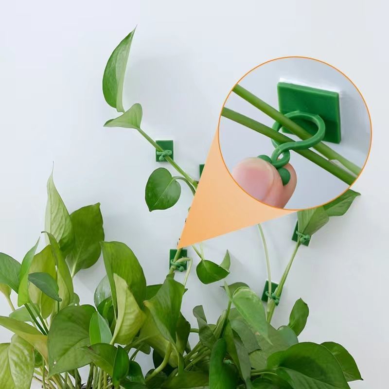 Clips autoadhesivos para fijar - Wall Anchor Plastic reseña y precio