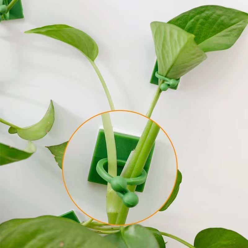 Clips autoadhesivos para fijar - Wall Anchor Plastic reseña y precio