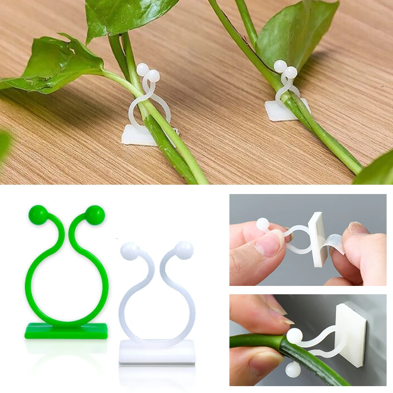 Gancho de hebilla fija autoadh - Wall Anchor Plastic reseña y precio